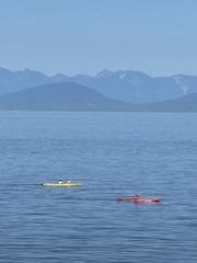 Salish 16